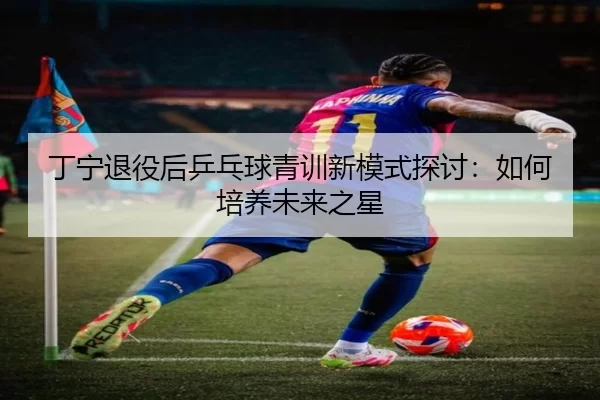 丁宁退役后乒乓球青训新模式探讨：如何培养未来之星
