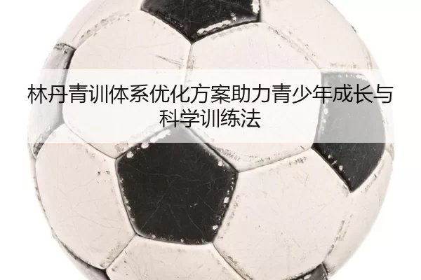 林丹青训体系优化方案助力青少年成长与科学训练法
